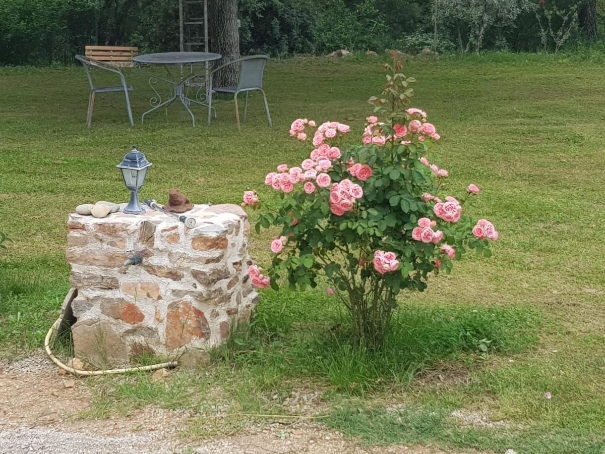 Le Jardin Des Selves Bed & Breakfast Драгинян Екстериор снимка